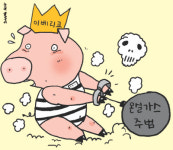 명품 돼지 ‘이베리코’ 스페인 환경파괴 주범 눈총