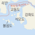 북녘에서 떠내려온 ‘남편 은행나무’ 그렇게 800년…임자, 그곳은 편안하오?