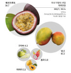 (1)제주 바나나·담양 커피·곡성 파파야···‘현실 아열대’ 풍경[생태계가 바뀐다]