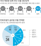 해외선 ‘각광’, 국내선 ‘뒷전’…매출 3조원 태양광 사업 명암