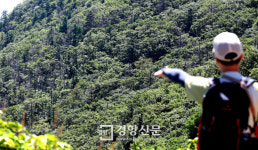 (2)노고단에 하얗게 센 구상나무···삐걱거리는 지리산 계절 시계[생태계가 바뀐다]