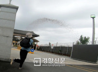 그는 왜 군산 미군부대 정문에 개사료를 뿌렸나?