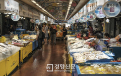 (3)청줄돔, 범돔, 가시복···제주 바다 물고기 40%는 아열대 어종[생태계가 바뀐다]