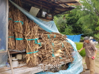 “400년 한지 전통 잇는 작가 돕자”