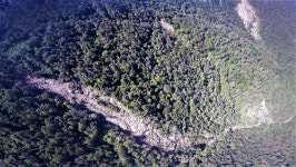 지리산 구상나무, 가문비나무 ‘떼죽음’…산사태도 늘어