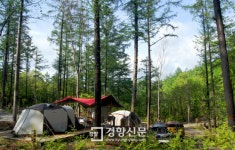 산림청 강원 화천에 첫 국립숲속야영장 개장