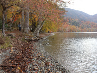 일본 닛코에서 즐기는 아주 특별한 단풍놀이