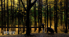 만추[경향포토]