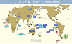 원양어선 안전펀드 1700억원 조성..원양산업 키운다