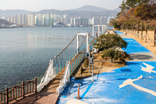 아기돼지 재롱 보고, 천년돼지 전설 듣고, 돼지삼겹 구워 먹고…황금돼지 기운 받자