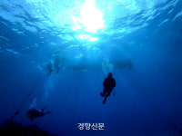 숨겨진 섬에서 보낸 꿈 같은 사흘, 서태평양의 푸른 보석 ‘로타’