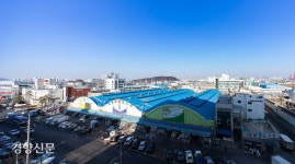 (1)홍어는 흑산도·주꾸미는 봄이라는 편견이 깨지다[지극히 味적인 시장]