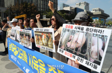 “고작 0.025㎡ 개선” 공장식 축산 잔혹사는 현재진행형