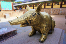 황금돼지해, 황금돼지상·돼지바위 있는 곳이 ‘명소’