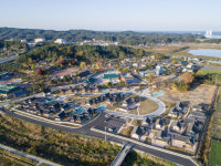 강릉 도배식을 아시나요?