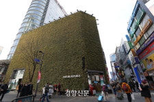 명동 ‘네이처리퍼블릭’ 16년째 땅값 1위···3.3㎡당 6억 넘어