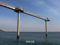 달착지근하고 짭조름한 겨울 바다의 맛··· 울진 대게 ‘먹방여행’