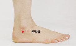 ‘신맥혈’ 두통·두근거림·불면 증상 등 치료 도움[송미연의 촌철지압]