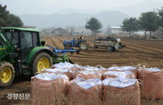 “정부 보급종 씨감자 부족”…애타는 농심