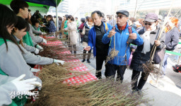 희망의 나무[경향포토]