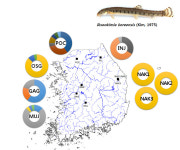 한강에 살던 참종개는 어쩌다 낙동강에 갔을까[배문규의 에코와치]