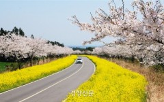 꽃 보다 체험?...봄꽃축제+농촌체험 가능한 관광지 6선