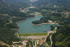 파주시, 마장호수·통일전망대·헤이리…‘벚꽃 명소’ 즐비