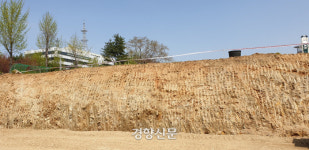국방부 무궁화 동산’ 절개해 테니스장···결정과정도 미스터리’[박성진의 군 이야기]