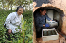 고려시대 사람들은 차를 어떻게 즐겼을까