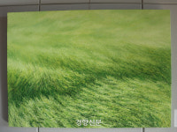 ‘초록빛 바람’ 부는 가파도, 자연 속을 걷는 마라도··· 제주 ‘섬 속의 섬’ 여행