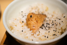 질긴 토종닭 없다, 질긴 편견이 있다