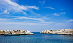 (12)바다만 봐도 배 부르고…바라만 봐도 군침 도는…유월의 영덕[지극히 味적인 시장]