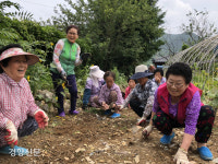 “공동체와 함께 치매 극복해요”