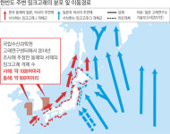 한반도 바다, 밍크고래의 ‘절규’