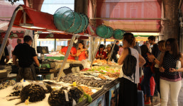 천년 이어온 글로벌 어업, 궁궐·사원 못지않은 인류문명사의 유산[주강현의 바다, 문명의 서사시]