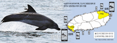 #제주 #남방큰돌고래...시민 SNS에 과학이 팔로하다