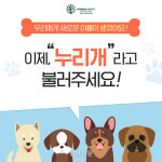 식용견 아닌 ‘누리개’로 불러주세요 휴메인소사이어티인터내셔널 인스타그램서 캠페인