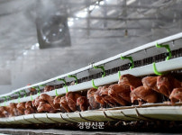 동물이 행복해야 인간도 행복...동물복지농장 급증