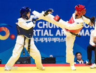 세계 최대 무술대회 ‘2019 충주 세계무예마스터십’ 개막[충주시]