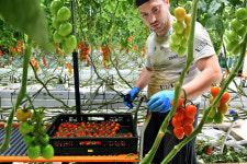 ‘채식 선택권’ 헌법재판소에 간다