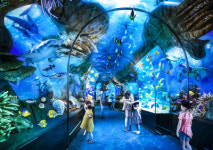 통영 해저터널, 바닷속 걷는 듯한 해저공간으로 만든다[통영시]