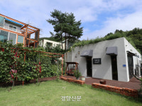 ‘강원도 테루아’ 물씬 풍기는 와인··· 응원하고 싶은 홍천 ‘샤또 나드리’의 국산 포도 실험[김형규 기자의 한국 술도가]