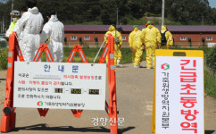정부, 돼지이동중지명령 48시간 연장…강화에서 1곳 추가 의심신고