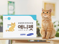 반려 고양이 보장성 보험 상품 나와