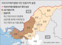연천서 14번째 돼지열병…발생지 ‘10km 완충지역’ 설정 확산 차단
