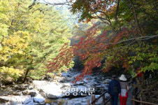 지리산 뱀사골 단풍 향연 “힐링 하세요”[남원시]