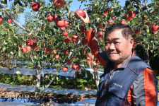 2011년 ‘펀치볼 마을’에 정착, 6000그루 심은 노재길씨 “맛 좋은 사과 재배 위해…충북서 양구로 터전 옮겼어요”