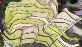 이 때깔을 보라, 네가 알던 가을이 아니다[포토다큐]