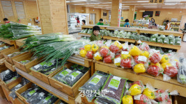 농산물 직거래 장터 “로컬푸드 아주 만족해요”