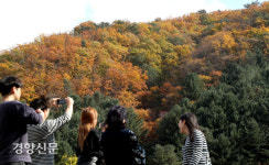 가을을 담다[경향포토]